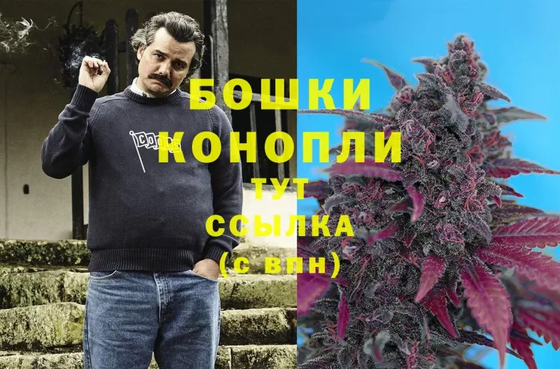 Бошки марихуана SATIVA & INDICA  кракен зеркало  Новороссийск 